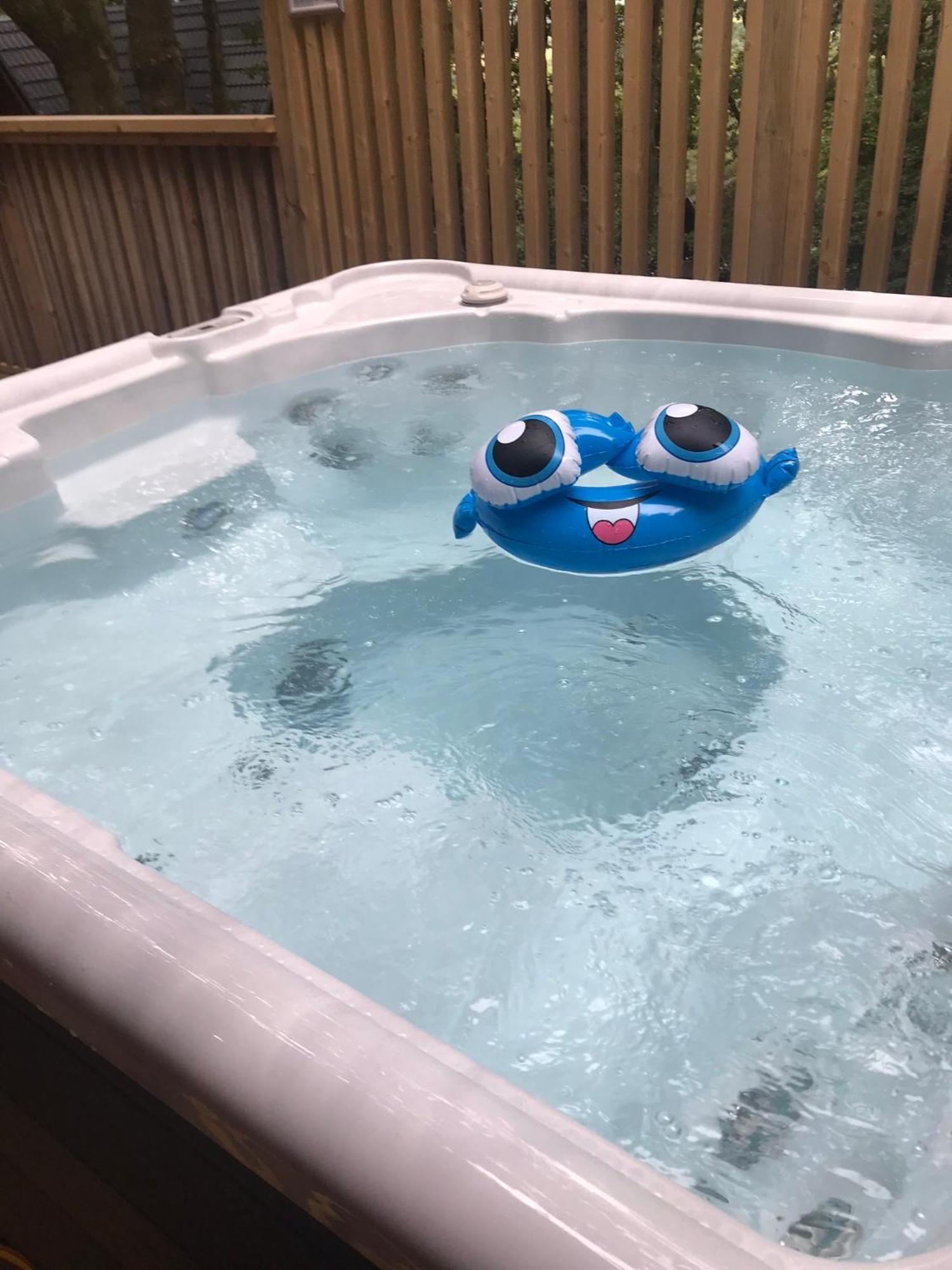Spacious Primrose Lodge For 6 With Hot Tub At A Spa Resort Chudleigh Екстер'єр фото
